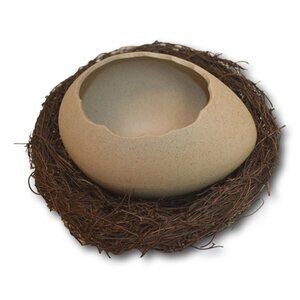 Dessert Bowl / Noodle Bowl Hydroponic Egg Shell Ostrich Vase & Nest - NEW